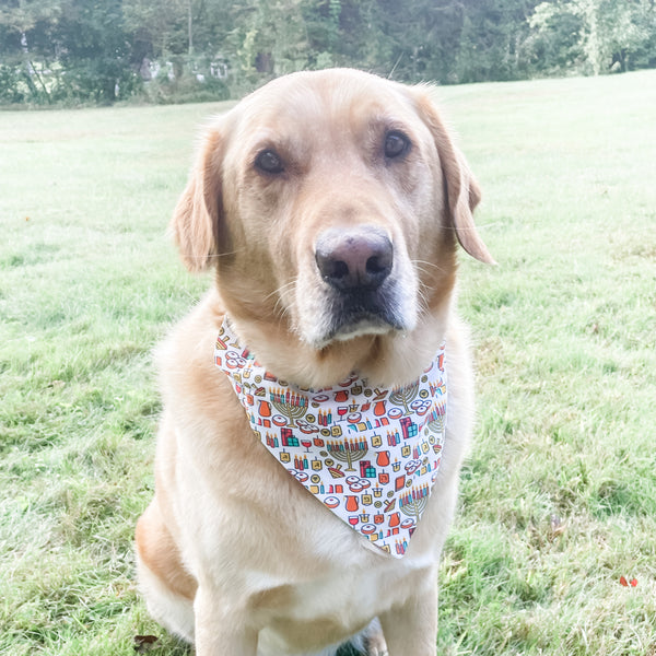 Hanukkah Reversible Dog Bandana- Peace Love Light Shop
