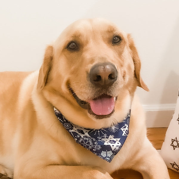 Jewish Dog Bandana- Hanukkah pet gift