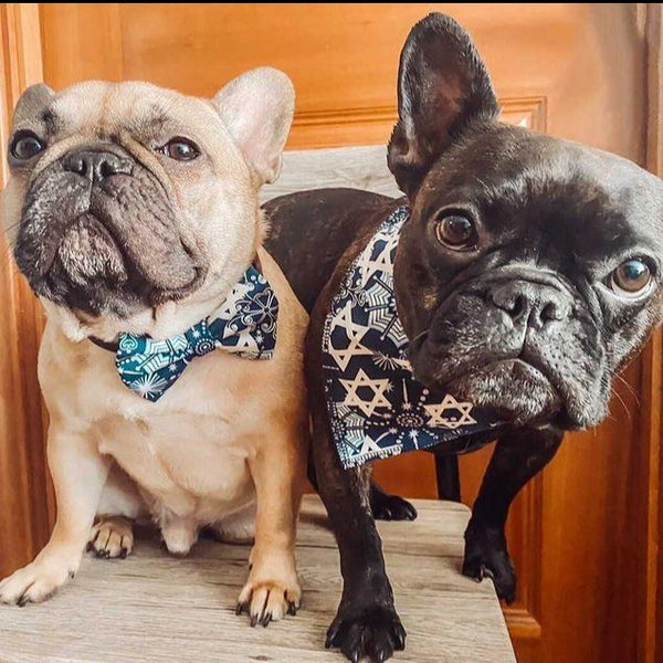 Jewish dog bandanas, Hanukkah, Bark Mitzvah