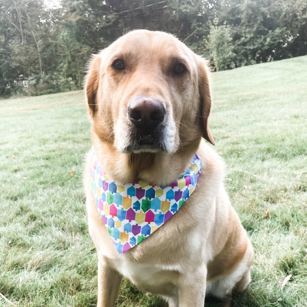 Hanukkah dog bandana- Peace Love Light Shop